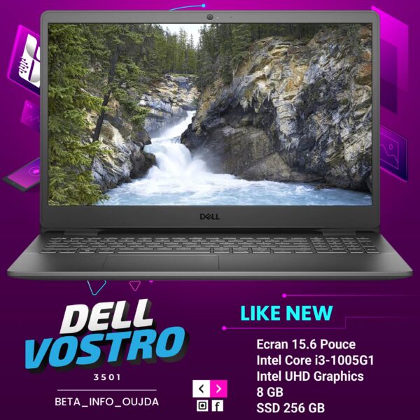 Dell Vostro 3501