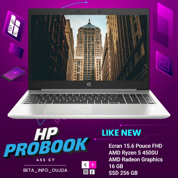 HP PROBOOK 455 G7 AMD Ryzen 5 4500U