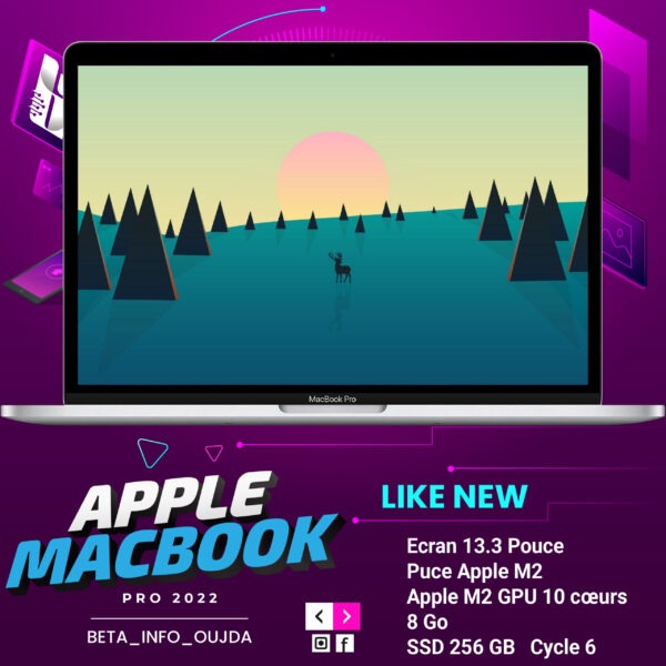 MacBook Pro (13 pouces, M2, 2022)